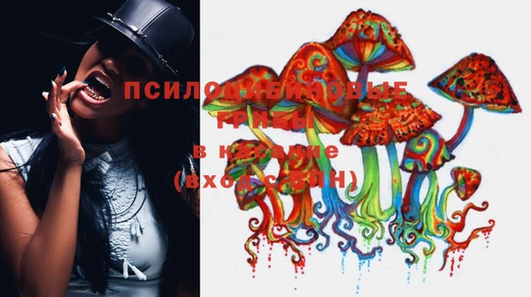 гидра Балабаново